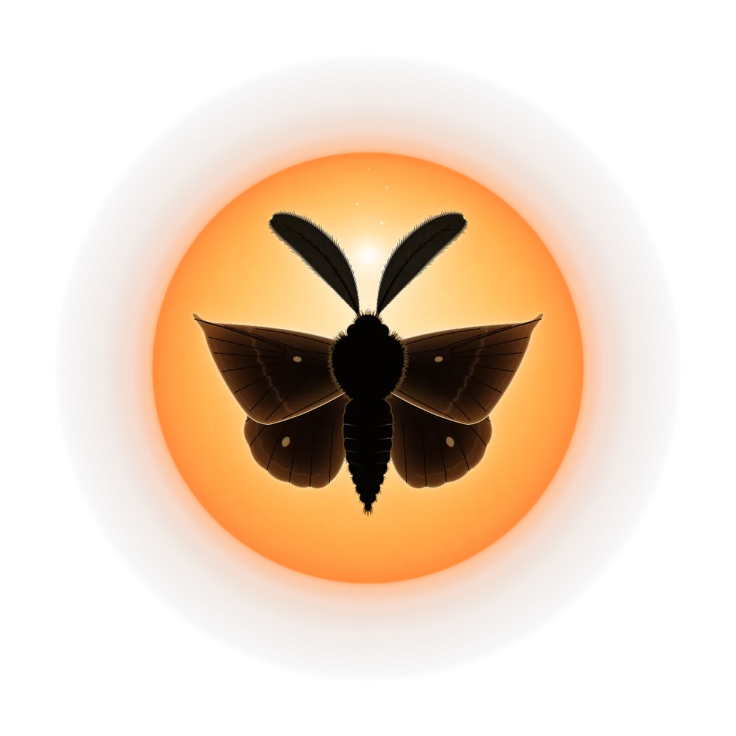 The MOTH coin: a dark moth silhouetted against a glowing amber lamp